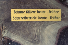 Diaschau 2, Bäume fällen & Sägen früher & heute