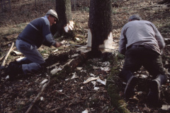 Diaschau 2, Hans K. & Dölf F. beim Sägen