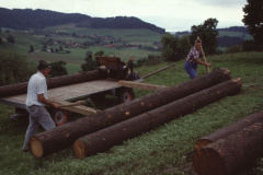 Diaschau 2, Holz wird aufgeladen