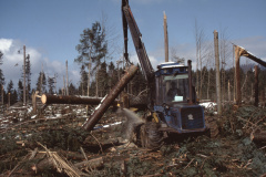 Diaschau 2, Waldschaden Lothar Wilen, Hittnau