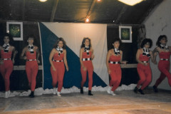 Brunnenfest 1987, Turnerinnen