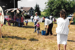 Brunnenfest 1995, Jugendspiele