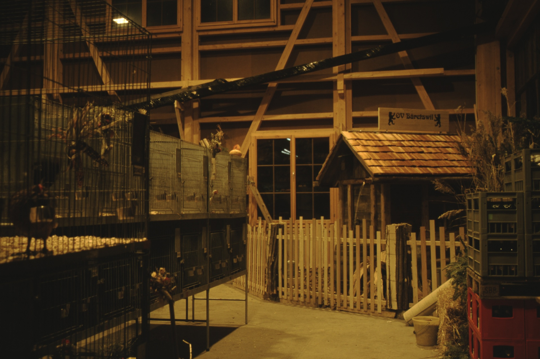 Ornithologischer Verein, Geflügel- Kaninchenausstellung, Werkhalle Noldi Pfenninger, 1.-3.1.1999
