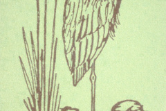 Naturschutzverein, Titelbild