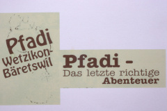 Pfadi Bäretswil Wetzikon, Titel