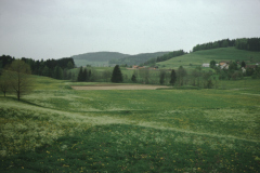 Erstellung Platz im Maiwinkel durch den FC Erstellung Platz im Maiwinkel durch den FC