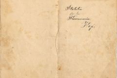 FV Hof, Statuten von 1893?