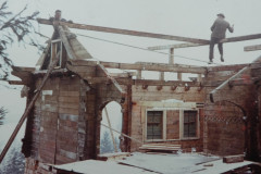 Hüttenbau Waldeggli, Dachkonstruktion