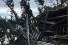 Waldeggli, gestürzte Tanne auf Holzschopf