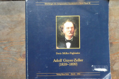 Adolf Guyer-Zeller (1839-1899), Amerikanismus in der Schweiz?