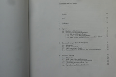 Adolf Guyer-Zeller (1839-1899), Amerikanismus in der Schweiz? Inhalt