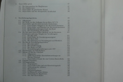 Adolf Guyer-Zeller (1839-1899), Amerikanismus in der Schweiz? Inhalt