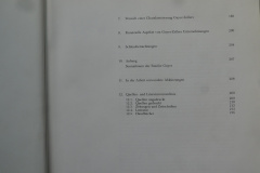 Adolf Guyer-Zeller (1839-1899), Amerikanismus in der Schweiz? Inhalt