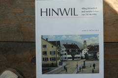 Hinwil. Alltag, Wirtschaft und soziales Leben von 745 bis 1995