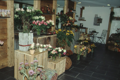 Baumastr. Blumen Denise