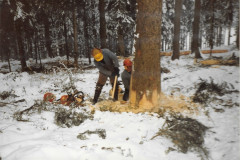 Waldkorporation Adetswil. Kahlschlag Binzlegi 1981 mit Gerber Andreas und Hansruedi