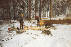 Waldkorporation Adetswil. Kahlschlag Binzlegi 1981
