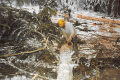 Waldkorporation Adetswil. Kahlschlag Binzlegi 1981 mit Karl Abbühl beim Entasten.