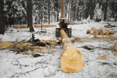Waldkorporation Adetswil. Kahlschlag Binzlegi 1981, beim Holzrücken