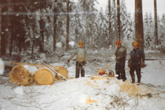 Waldkorporation Adetswil. Kahlschlag Binzlegi 1981, Karl Abbühl, Handruedi und Andreas Gerber