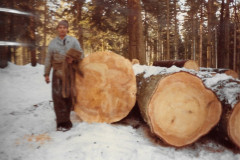 Waldkorporation Adetswil, Karl Abbühl neben gefällter Tanne