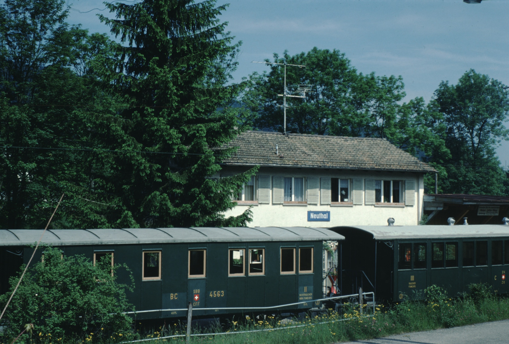 Zug Station Neuthal