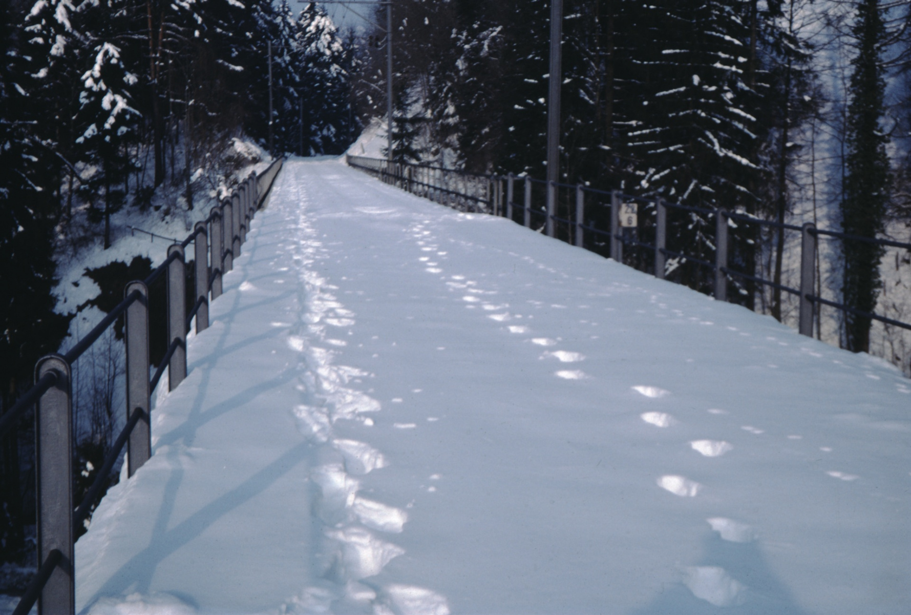 Viadukt bei Neuthal im Winter