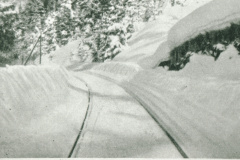 UeBB. vor Bäretswil im Tobel, im Winter