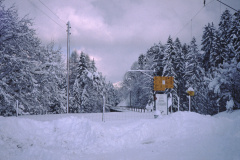 Viadukt bei Neuthal im Winter