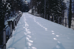 Viadukt bei Neuthal im Winter
