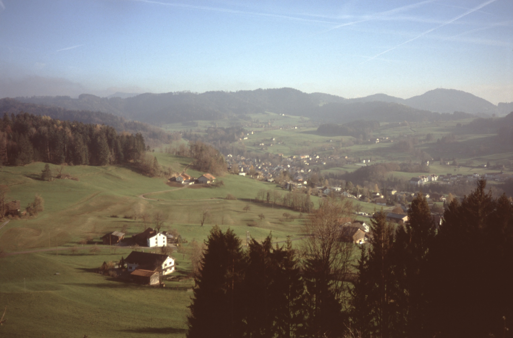 Blick vom Ebnerberg auf Bürgweidli, Binz, Weid und Bäretswil