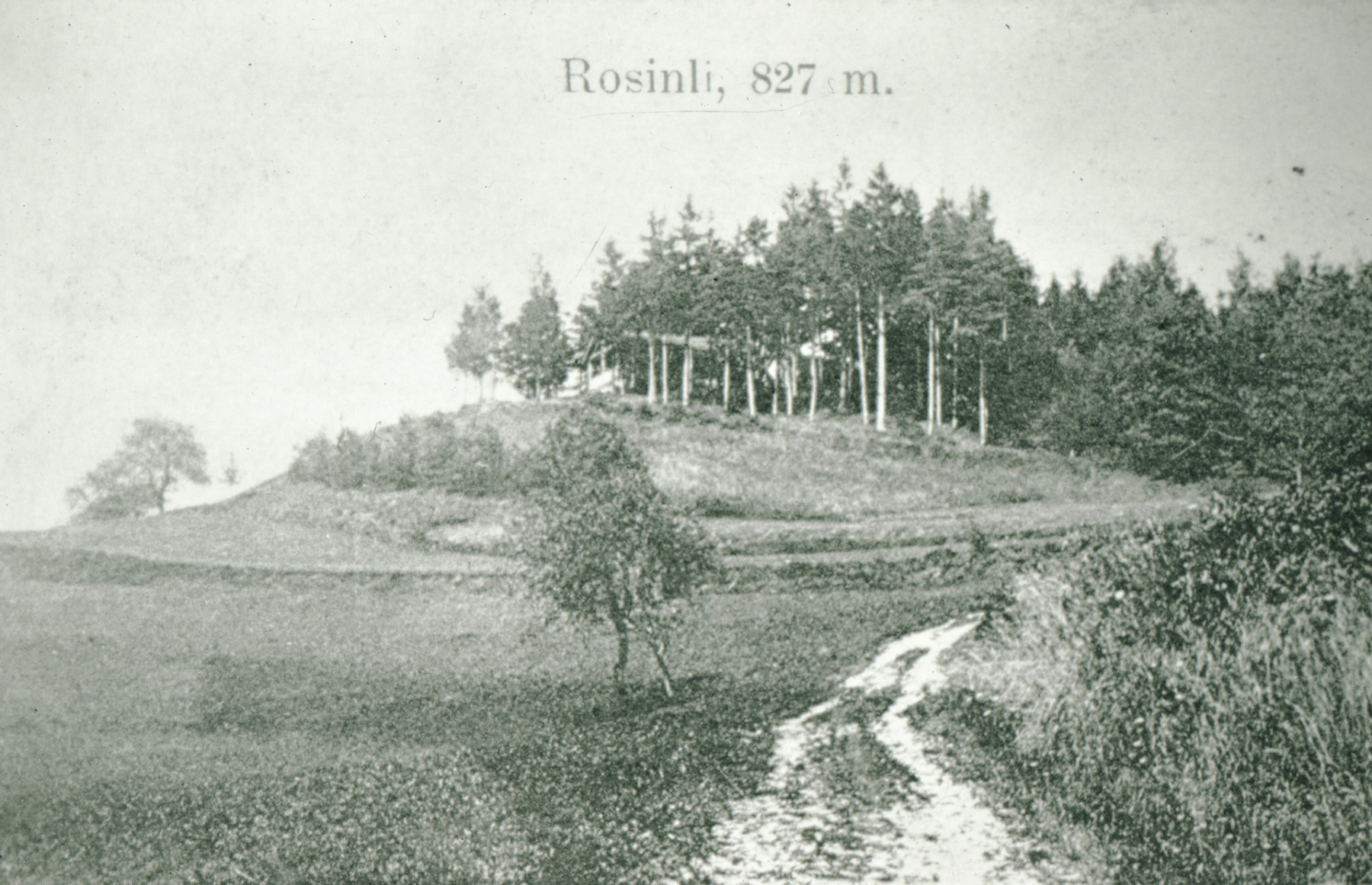 Rosinli 827m