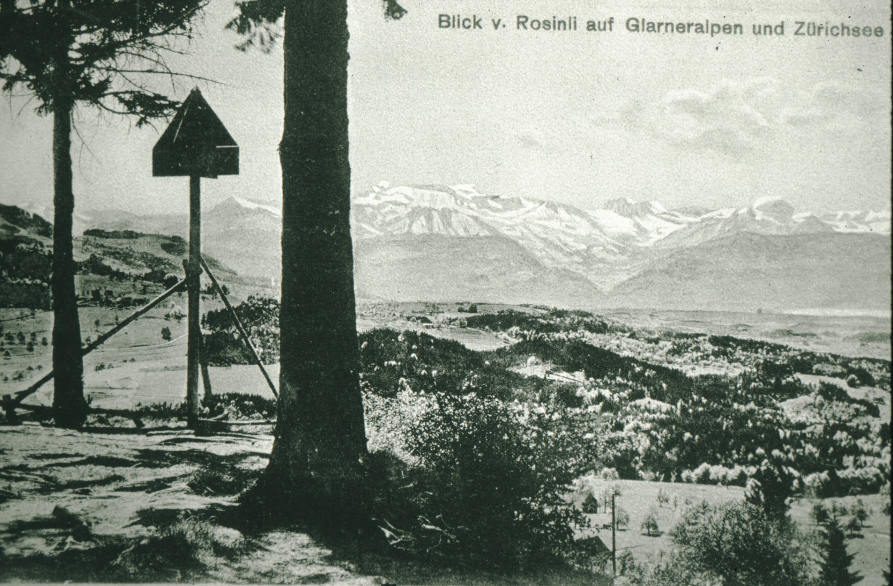 Blick v. Rosinli auf Glarneralpen - Zürichse