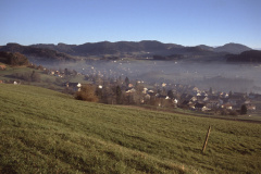 Unterhalb Rosinli Blick auf Adetswil