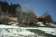 Liegenschaft Siegenthaler