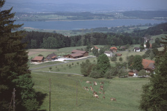 Blick vom Rosinli auf Egglen, Pfäffikersee