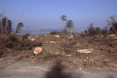 Ebnersberg ob Rosinli