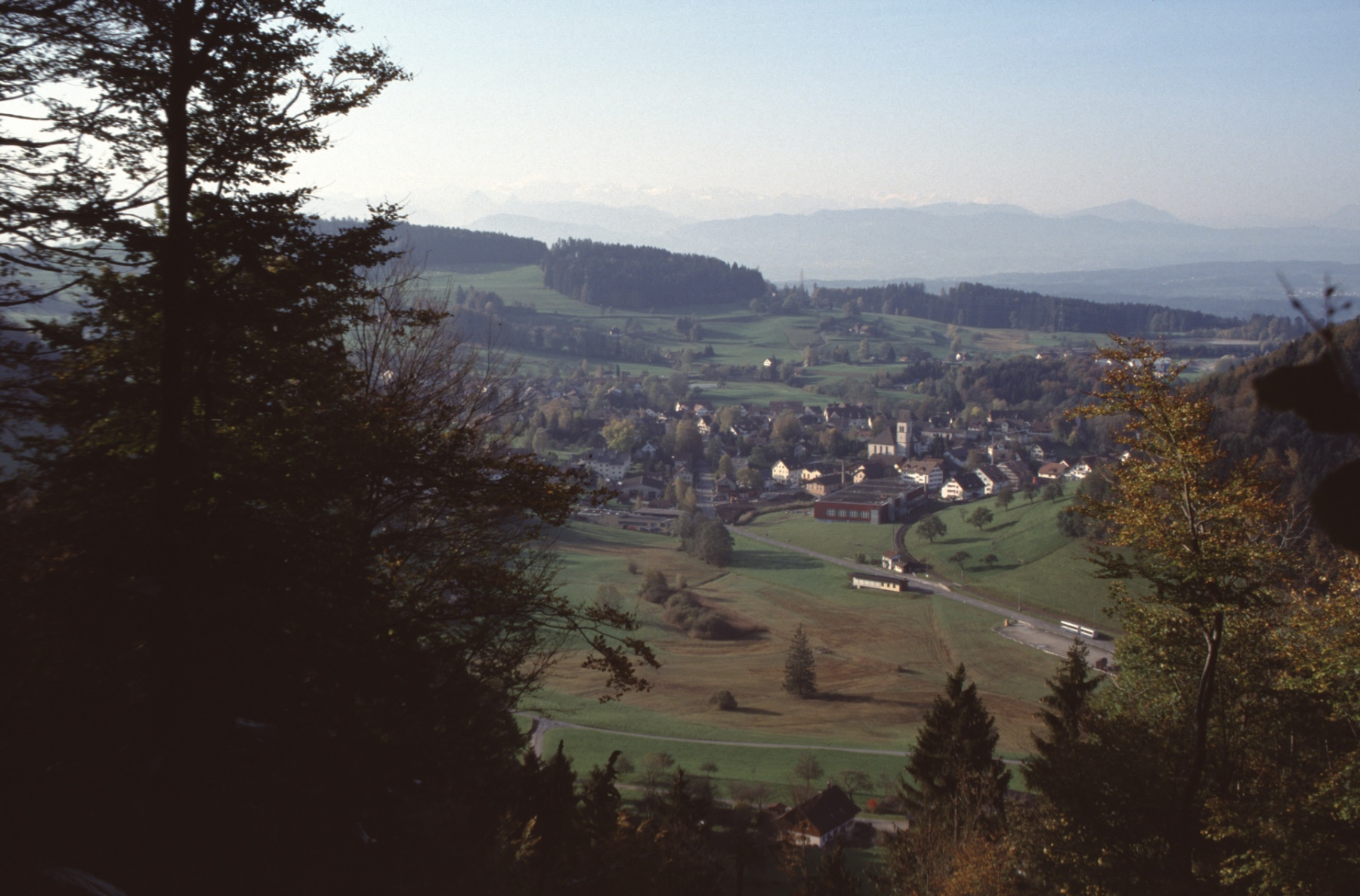 Ausblick vom Greifenberg (Waldschneise)