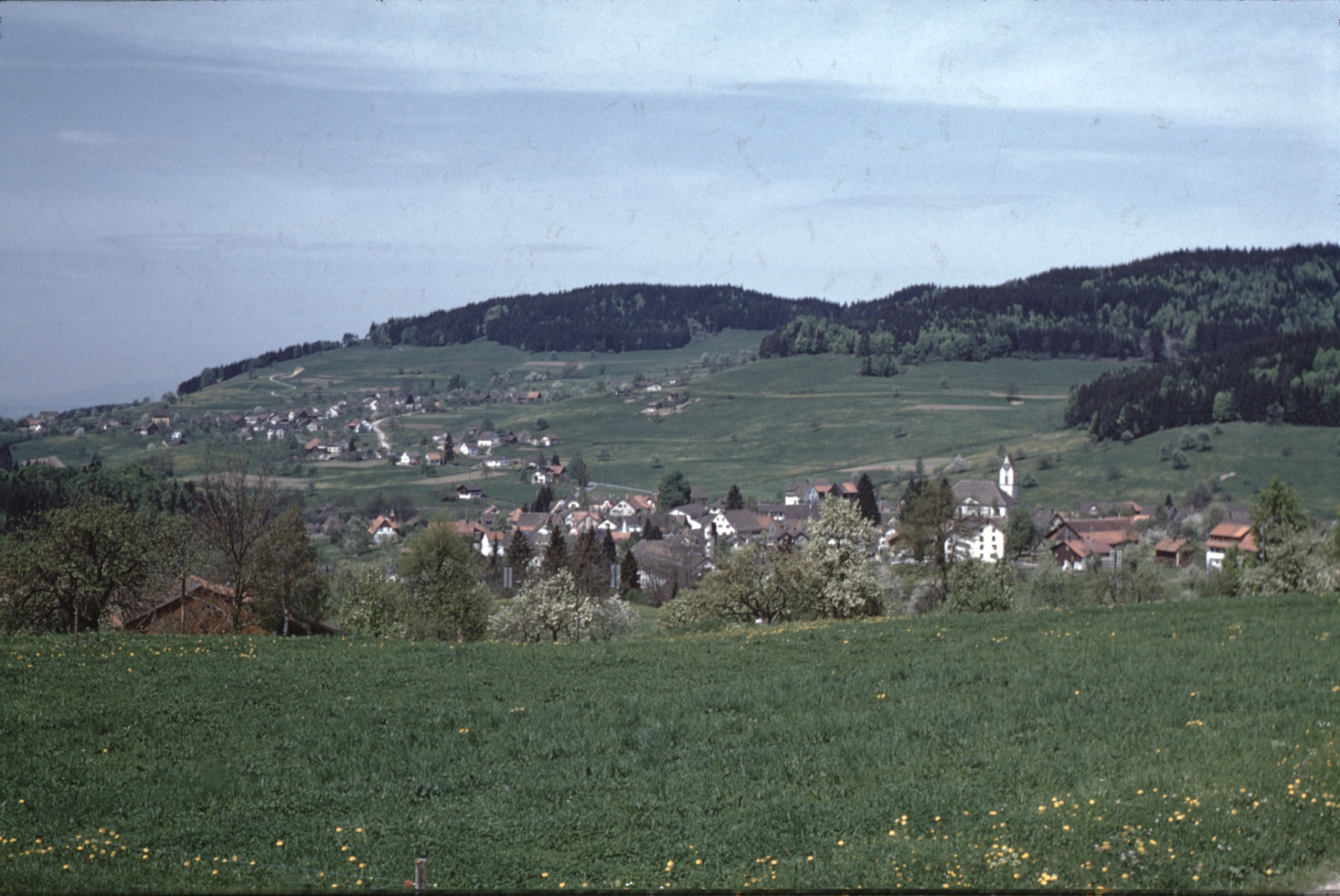Oberhalb Haldengut, Blick auf Dorf und Adetswil, am Gegenhang Engelsteinsträsschen