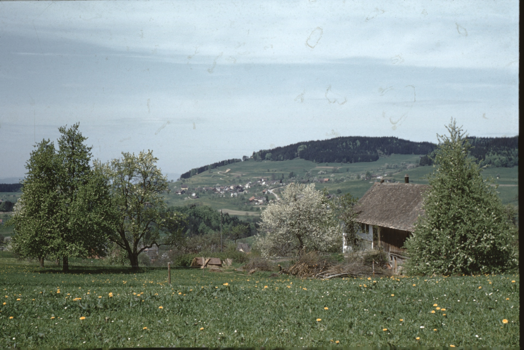 Haldengut Rtg Adetswil mit altem Schulhaus