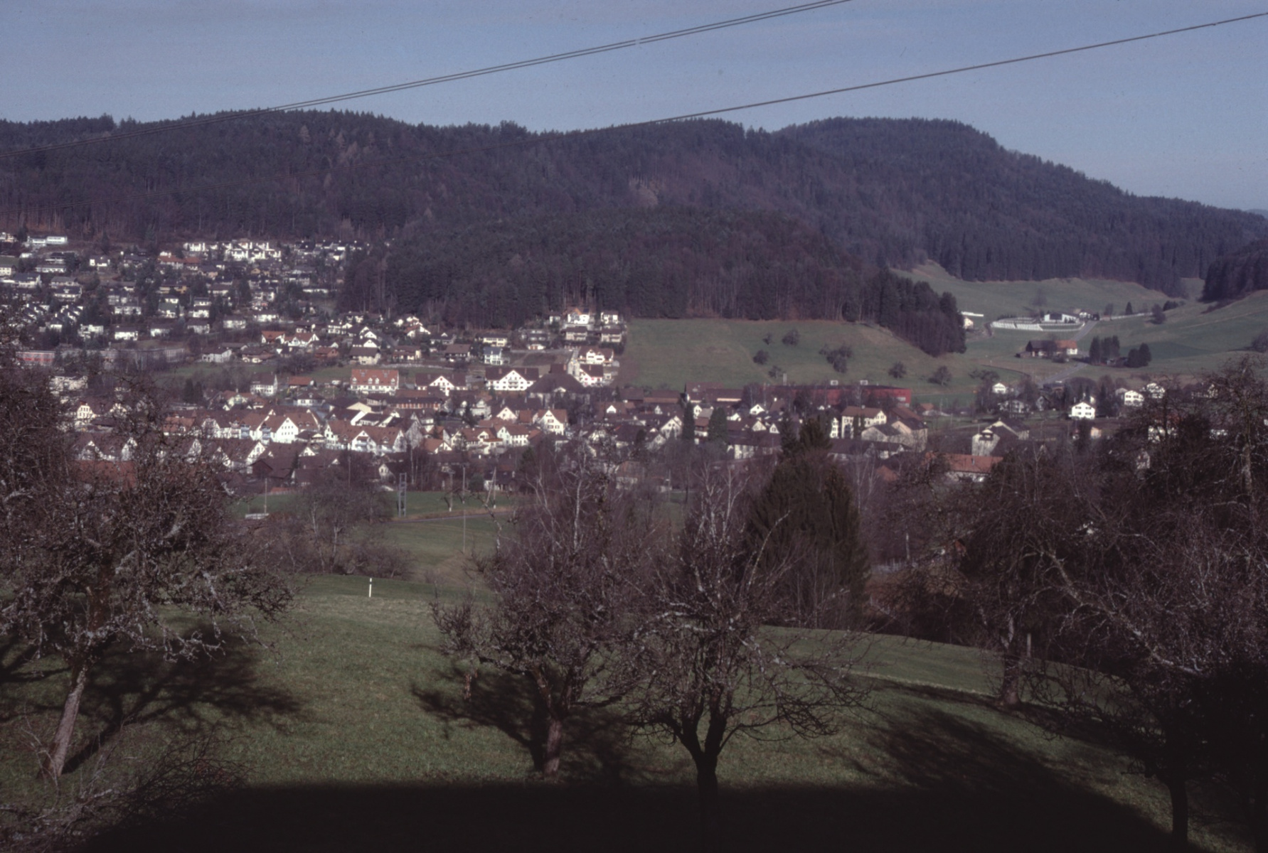 Blick vom Tisenwaltsberg Rtg Bussenthal, Lettenberg, Hint. Engelstein