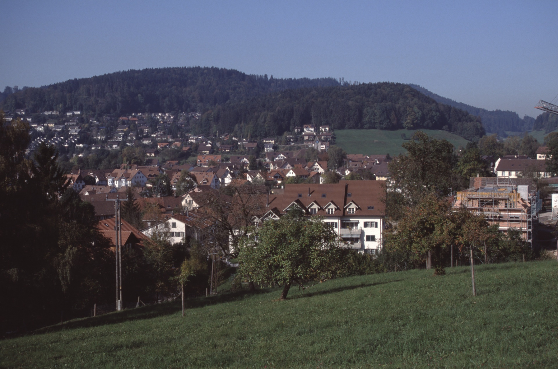 Schönau. Blick auf das Dorf + Bussenthal