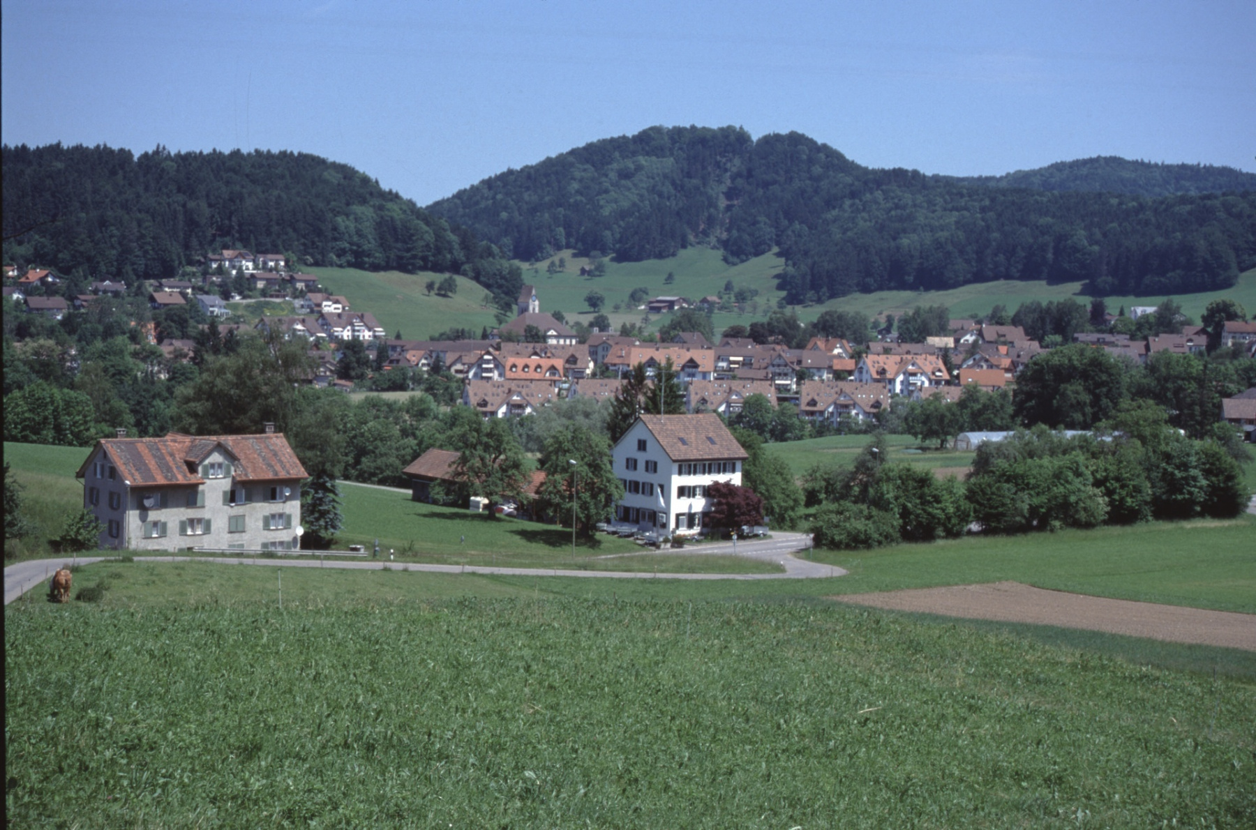 Blick von der Steinweidstr auf das Dorf