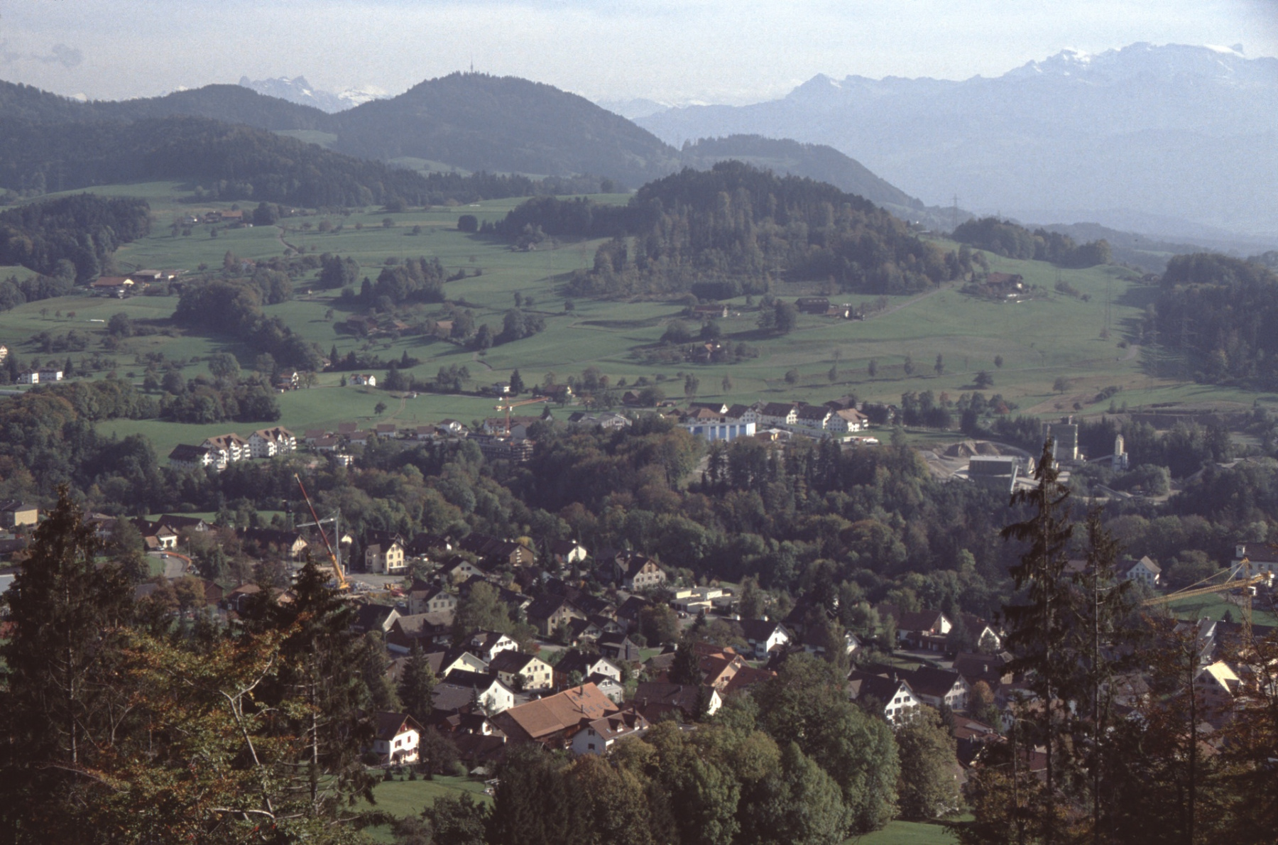 Blick vom Ebnerberg (oberhalb Rosinli) aufs Dorf Adetswil; in der Bildmitte der (bewaldete) Chopf