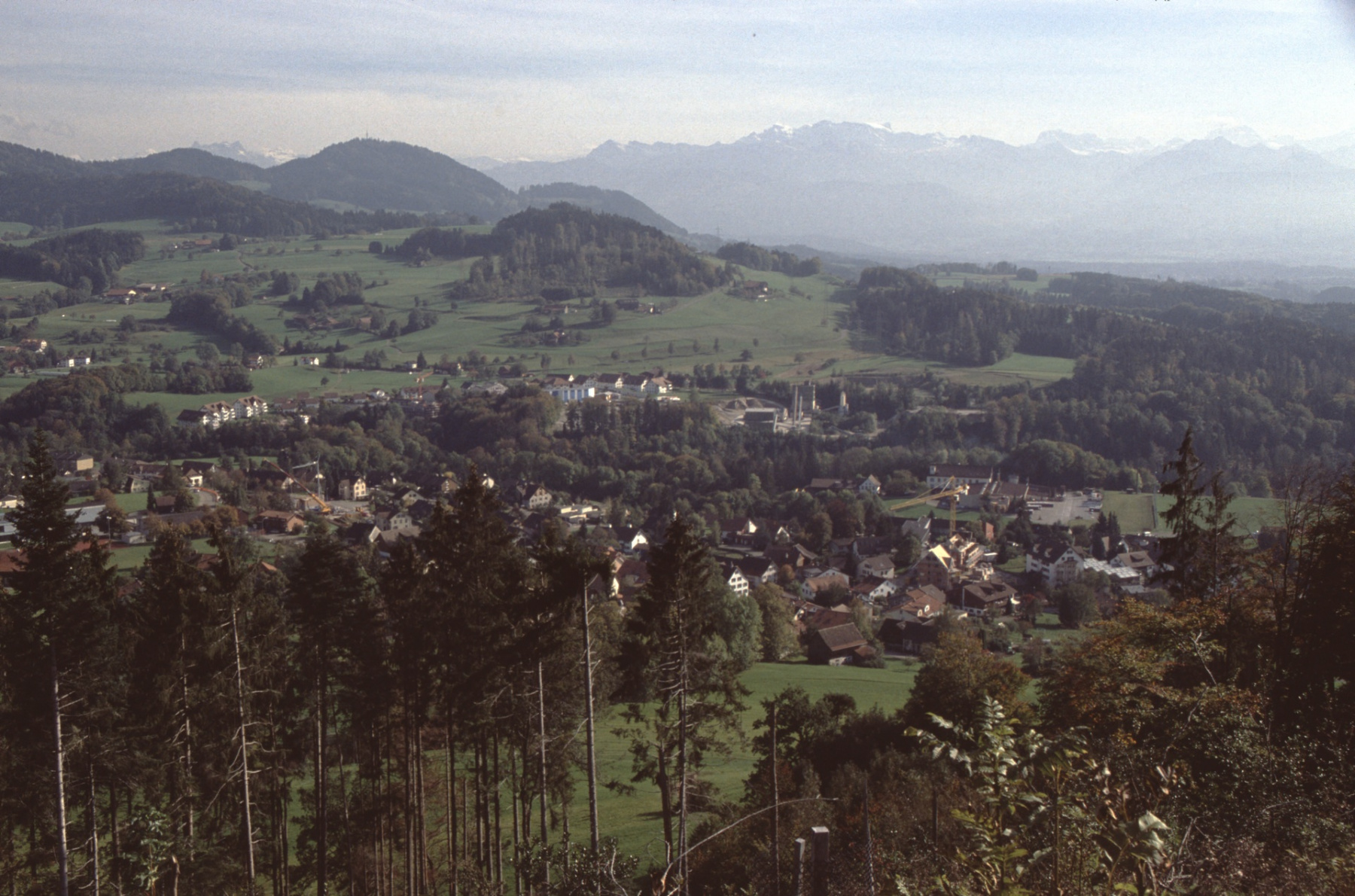 Blick vom Ebnerberg auf Adetswil, Schürliquartier
