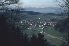 Blick vom Greifenberg aus