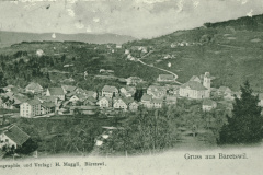Zelgholz, Blick auf Bäretswil und Adetswil