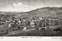 Blick auf Bäretswil und Adetswil