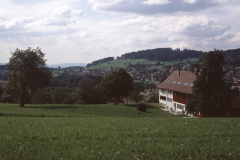 Haldengut, Liegenschaft Lüthi nach dem Umbau