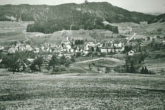 Bäretswil oberhalb Oberdorf